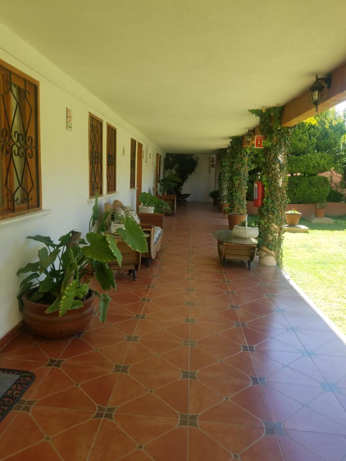 Hotel Ollin Teotl San Juan Teotihuacán エクステリア 写真